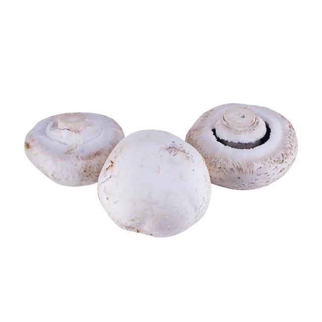 Šampiňón biely voľný - Klas