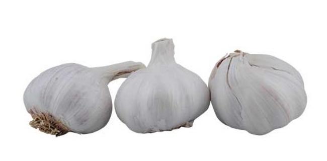 Cesnak voľný - Klas