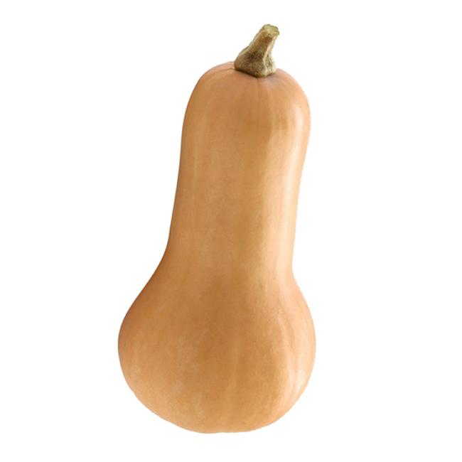 Tekvica maslová voľná - Klas