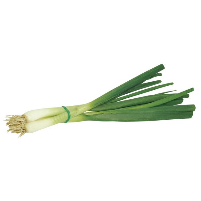 Cibuľa lahôdková zväzok 1 ks - Klas