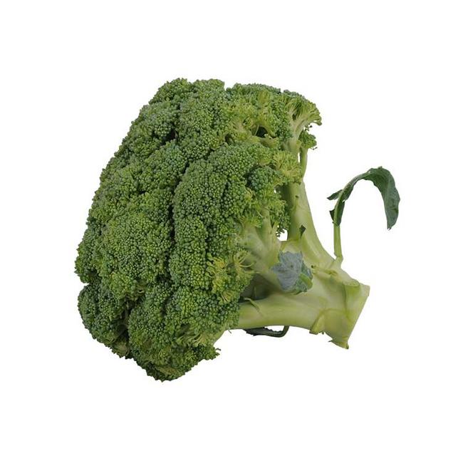 Brokolica 1ks - Klas