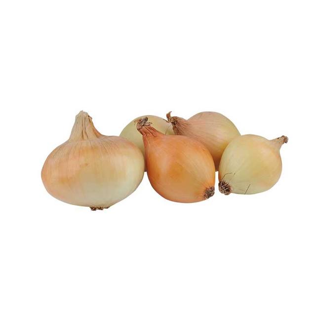 Cibuľa žltá voľná - Klas