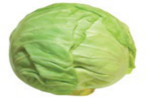 Kapusta biela hlávková voľná  - Klas