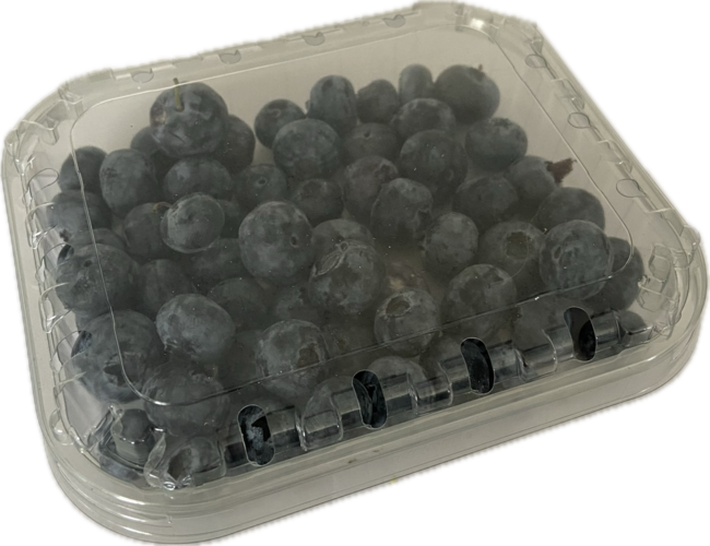 Čučoriedky vanička 125 g - Klas