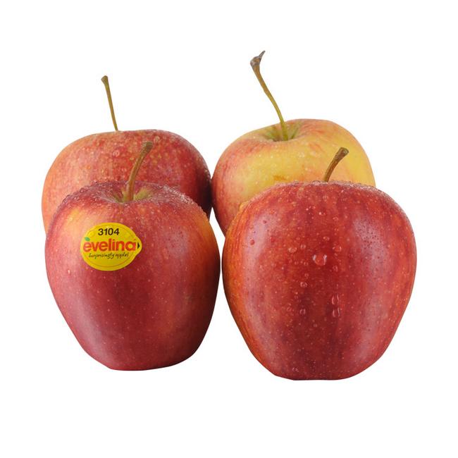 Jablko Evelina voľné - Klas