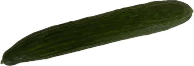 Uhorka hadovka 1 ks  - Klas