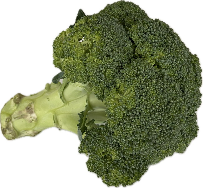 Brokolica voľná - Klas